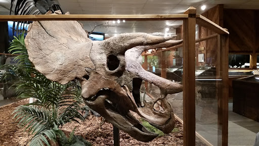 Brazosport Museum of Natural Science