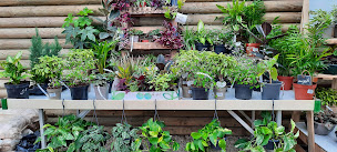 Photo n°22 de Le Marché Vert & Solidaire à Épuisay (Paysagiste)