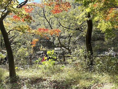 Photos of 내장야영장