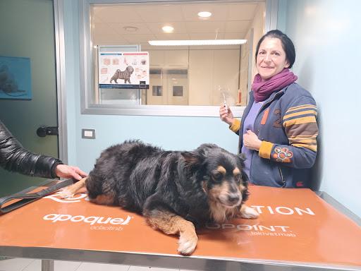 Clinica Veterinaria GAIA Ancona - Servizio di Oncologia Veterinaria - Thumbnail