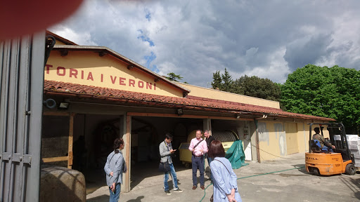 I Veroni - Visual