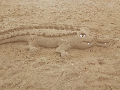 Photos of Praia De Tofo