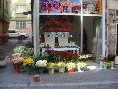 Photos of Cigdem Cicek