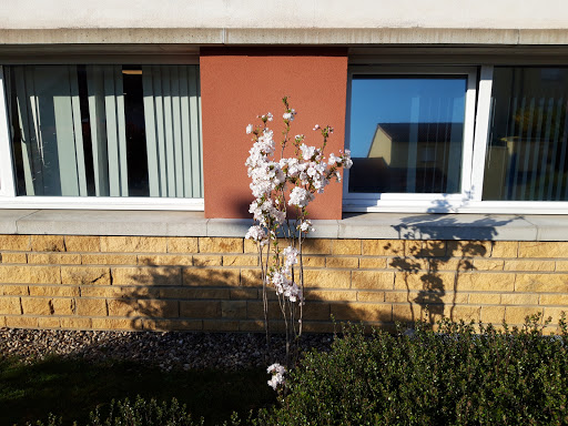 Photo de EHPAD La Forêt (Groupe SOS Seniors)