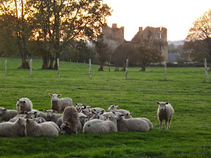 Photo n°39 de La Ferme de Tom à Lassay-les-Châteaux (Ferme bio)