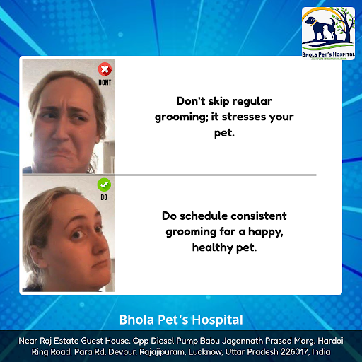 Regular grooming is essential for maintaining your pet’s comfort and health. Skipping it can lead… post image