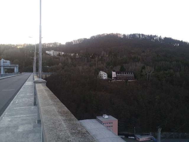 Solenice