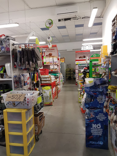 Dog Space - Visual
