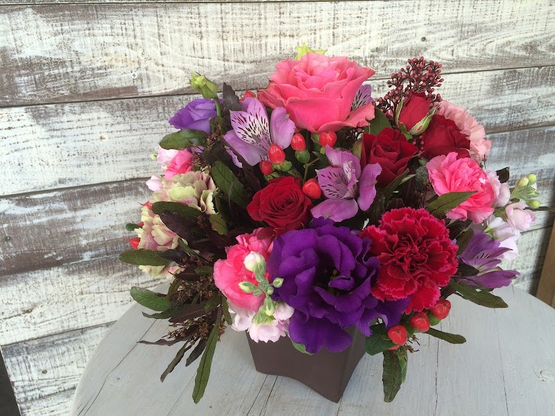 nohana （のはな）