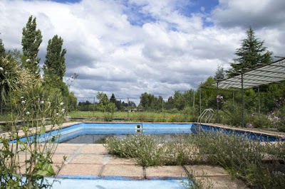 Photos of Caba&ntilde;as El Pichint&uacute;n Ltda.