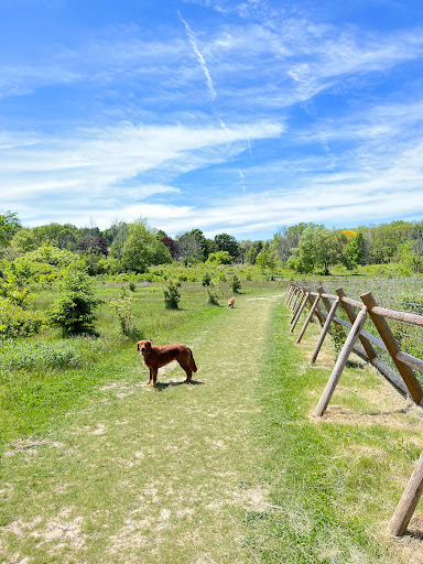 Menomonee Dog Park - Thumbnail