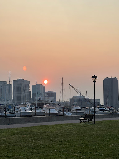 Crawford Levee Park - Thumbnail