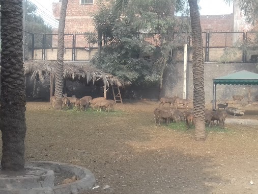 Mini Zoo, Gulberg, Author: Pakistan Zindabad