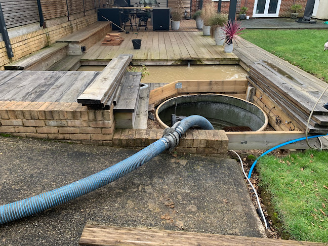 Comments and reviews of Ace Drains & Plumbing Ltd