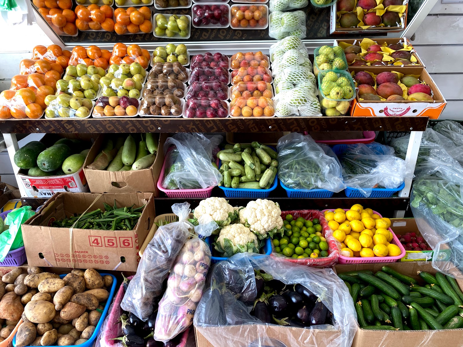 AL HADIQA - صورة 5