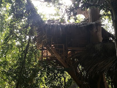 Photos of Kumbuk Tree House