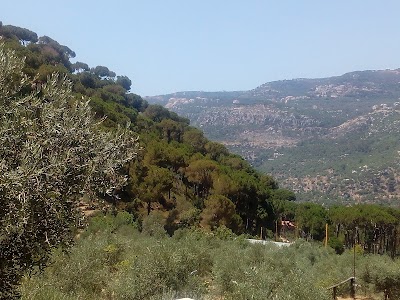 Photos of The Greens, Baabdat 3561