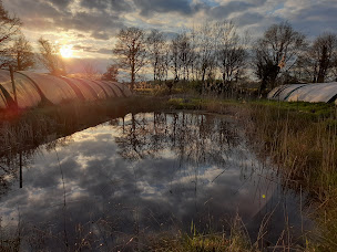 Photo n°3 de Ferme de la Renaudière / La cabane du Merle à Écueillé (Maraîcher)