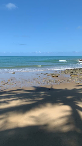 Turtle Cove Beach Resort - BYO Food/Drinks - Adults Only Space - Cairns/Port Douglas by null