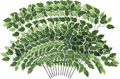 हरी पत्ती green leaves