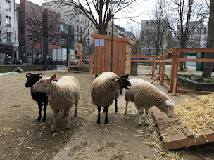 Photo n°3 de Ferme Pédagogique du Jardin d'Éole à Paris (Ferme pédagogique)