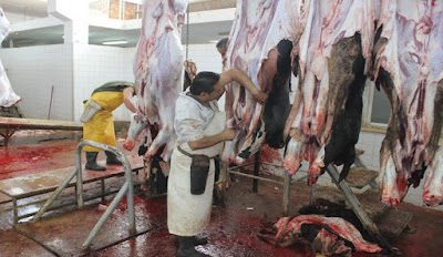 Photos of Market Abu Rummana