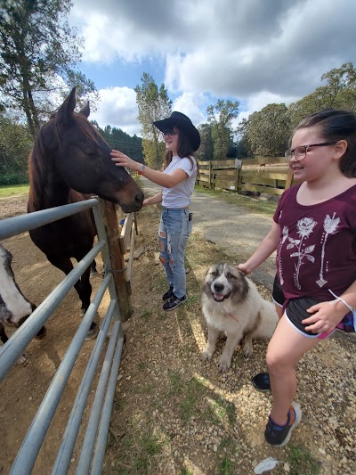 Angels Grove Ranch and Horse Rescue