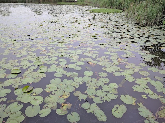 Mai Po Nature Reserve