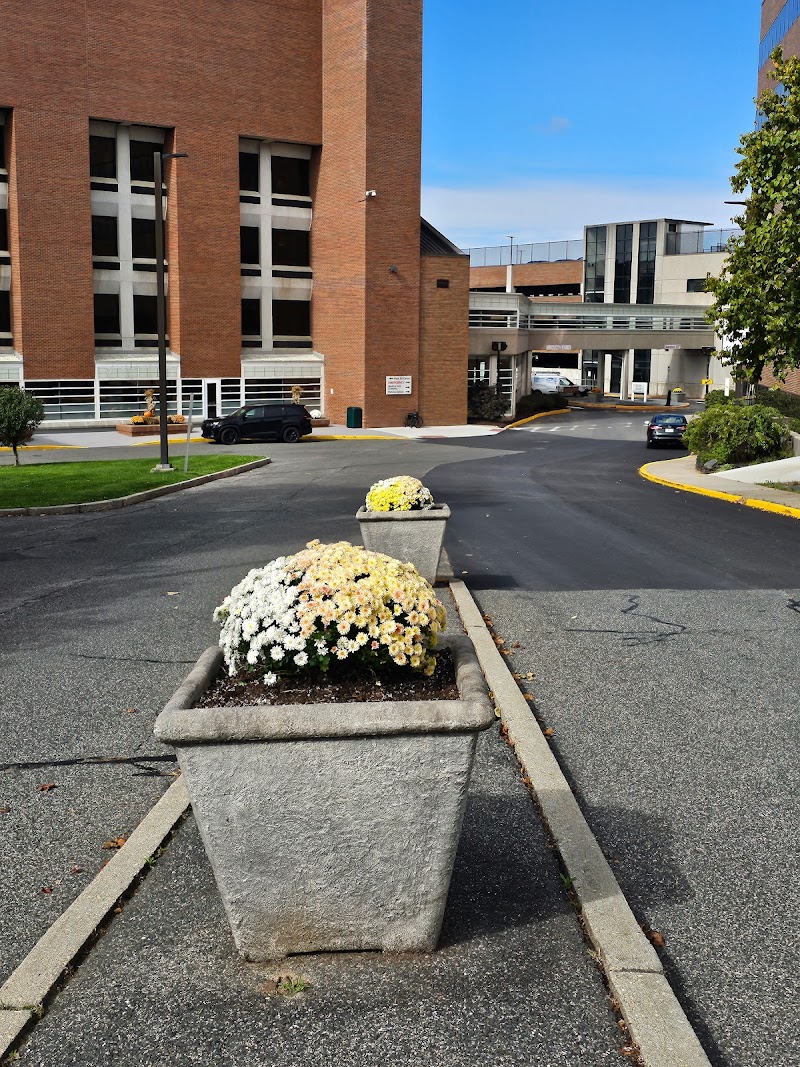 Berkshire Medical Center