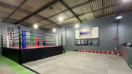 Inside Léo Garuti