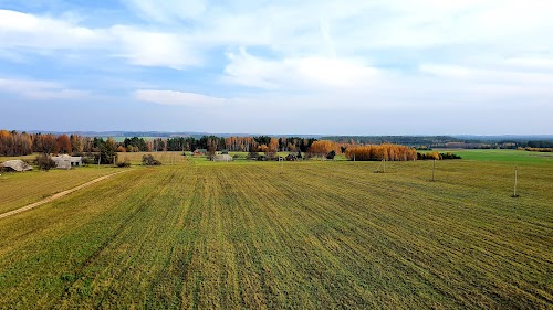 Lygumų