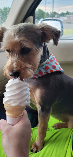 Ruff Cuts Grooming Salon - Thumbnail