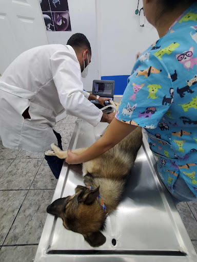Centro Médico Veterinario San Francisco