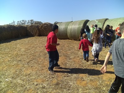 Red River Pumpkin Patch