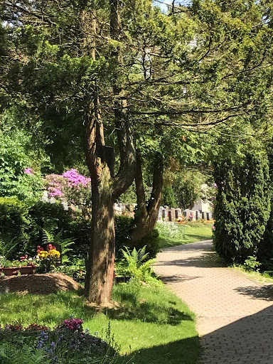 Friedhof Sosa