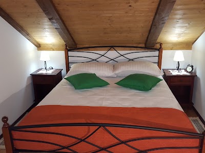 Photos of Villa Cetina - Holiday House
