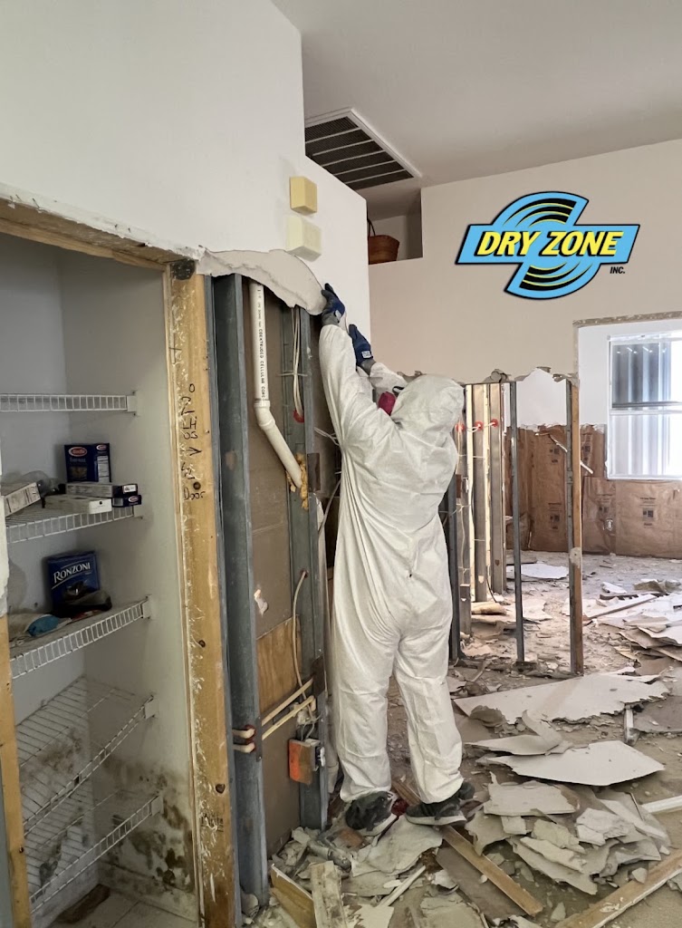 Dryzone Water & Mold Experts photo