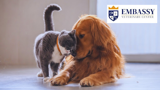 Embassy Veterinary Center Hardin Valley