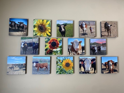 Farm Bureau Financial Services: Angie Hughes - Thumbnail