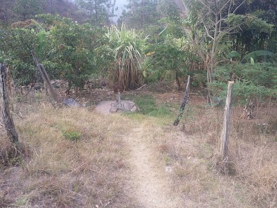 Photos of Motel Los Pinos