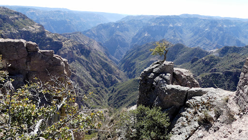 Copper Canyon Adventures