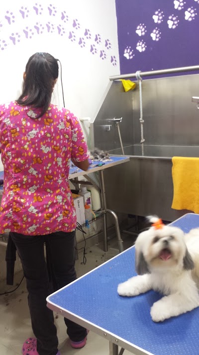 Photos of Mascoplanet Pet Shop