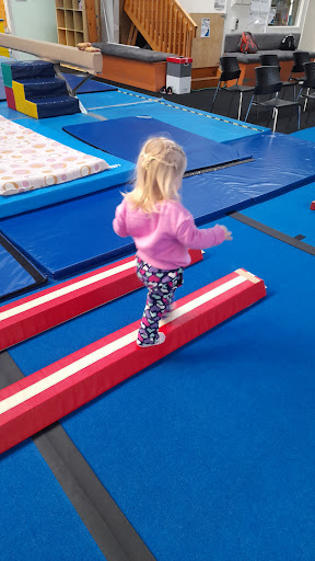 Te Puke Gymsport - Thumbnail