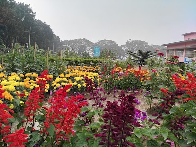 Photos of Homna Cold Storage