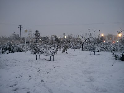 Photos of خوابگاه های پسران