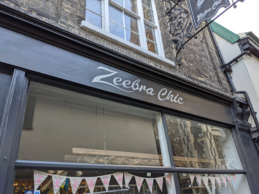 Zeebra Chic - Visual