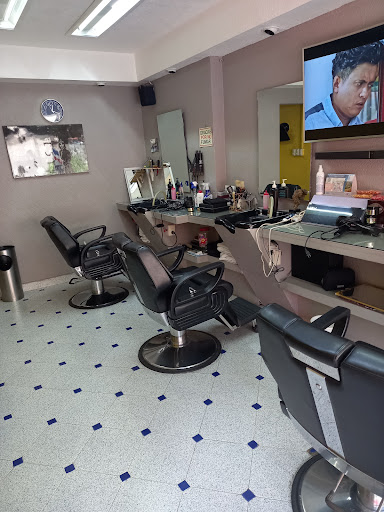 Peluqueria Perfect cut