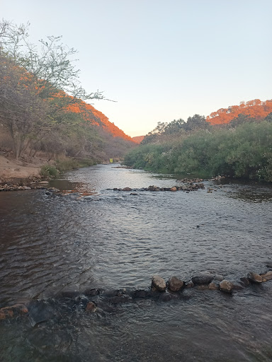 Bosque De La Primavera Río Salado - Thumbnail