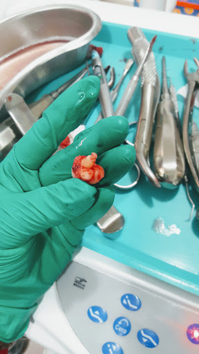 Dental y Ortodoncia Beauty Smile Dra. Paulina Avendaño - Thumbnail