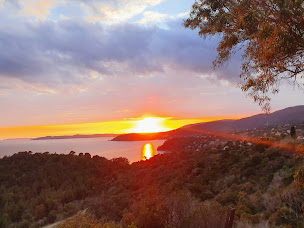 Photo n°7 de Agence Nestenn Immobilier Cavalaire-sur-Mer à Cavalaire-sur-Mer (Société de gestion immobilière)